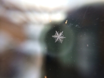 Snowflake With My Phone 