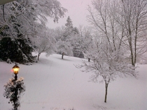 Snowy November morning in Appalachia 
