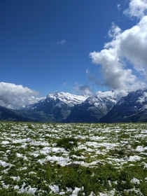 Snowy Switzerland Mountains and Fields 