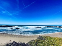 Soaking in the fresh Bay breeze at gorgeous Pescadero State Beach CA 