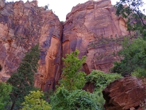 Some cliffs at Zions National Park 