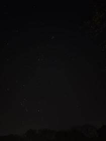 Somehow I managed to capture Orion and Ursa Minor on my OnePlus  Pro
