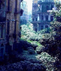 Somewhere in the middle of Beirut