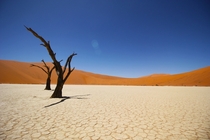 Sossusvlei salt pan and the red sand dunes of Namib Desert 