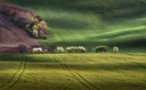 South Moravia Czech Republic by Peter Zajfrid 