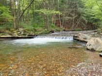 Sparkling clear waters of Asaph Run - Pennsylvania Wilds 
