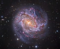 Spiral galaxy Messier  otherwise known as The Southern Pinwheel or even more appropriately The Thousand-Ruby Galaxy is  million light years away and believed to contain at least  billion stars Image credit Subaru amp Hubble Telescopes ESO amp Robert Gendl
