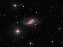 Spiral Galaxy NGC    Image Credit amp Copyright Mike Selby Warren Keller