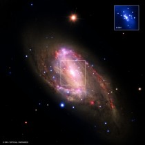 Spiral Galaxy NGC  New X-ray observations suggest its center contains a supermassive black hole 