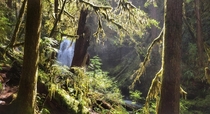 Spirit Falls Cascade Range Oregon USA OC  x 