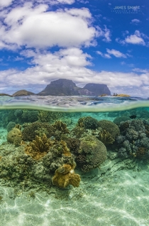 Split image in the beautiful waters of Lord Howe Island Australia in Spring  x Instagramjamessmartphotography
