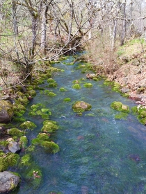 Spring Creek Hood River Oregon 