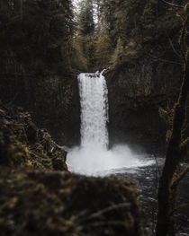 Spring time flows in the PNW are legendary  Abiqua Falls OR 