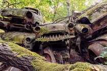 Stacks of abandoned cars covered in moss  Photographed by Timeless Seeker