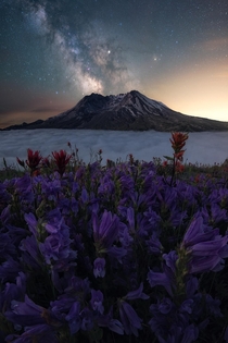 Stars above Mt St Helens Washington OC  ross_schram