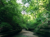 Starved Rock state park in Illinois 