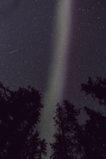 STEVE  Strong Thermal Emission Velocity Enhancement  is a rare space weather phenomenon It was not formally described until  though descriptions were found from a Norwegian scientist who recorded these Aurora between  and  More gifs in comments