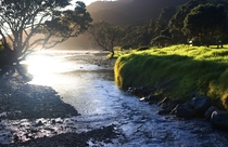 Stony Bay Coromandel New Zealand by Nick Newman 