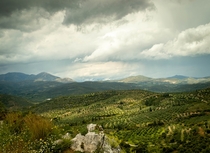 Stormy skies over olive trees in Greece 