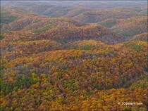 Stunning Aerial of the Ozark Mountains in the Fall Only real hills between Rockies and Appalachians