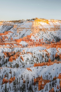 Subtle evening light in Bryce Canyon Natl Park 