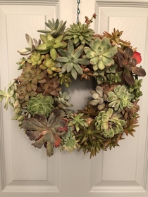 Succulent wreath a friend hand made for me