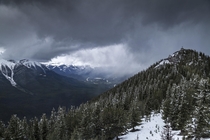 Sulphur Mountain Banff National Forest Alberta Canada June  