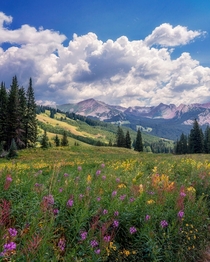 Summer day outside of Crested Butte Colorado 