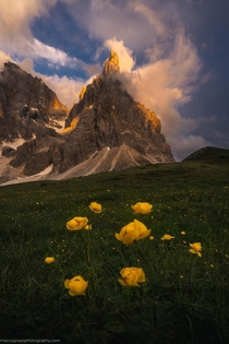 Summer evenings in the Dolomites Italy  IG marcograssiphotography