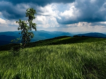 Summer in Bieszczady Mountains in South Eastern Poland 
