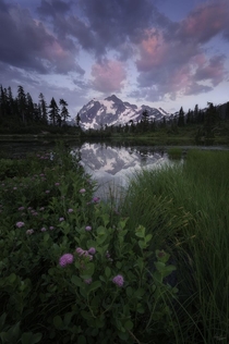 Summer in the North Cascades 