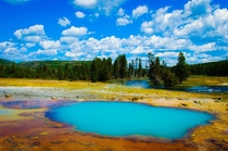 Summer in Yellowstone national park 