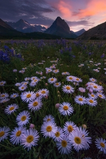 Summer is coming fast cant wait to get back to Glacier National Park for more scenes like this - Montana US - mattymeis 