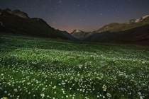 Summer night falls over an alpine meadow stippled with wildflowers in Italys Gran Paradiso National Park In a busy country Gran Paradisos unspoiled landscape is an arcadian oasis  Photo by Stefano Unterthiner