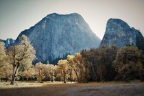 Sun beams and fall foliage Yosemite Valley 