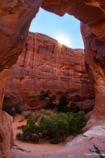 Sun peaking through the sandstone walls at Arches National Park Utah OC 