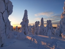 Sun setting in Sirkka Finland at pm 