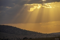 Sunbeams over the Serengeti 