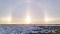 Sundogs North Dakota Sundogs form on particularly cold winter days when the water vapour in the atmosphere crystallizes rather than forming clouds