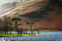 Sunlight catches the shoulder of High Crag and the shore of Buttermere below on a windy day Lake District England UK 