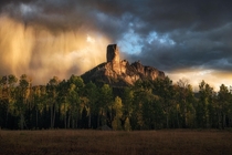 Sunlight hits an oncoming rainstorm above the aspens Fall color in SW Colorado is a sight that you have to see to believe 