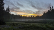 Sunrise at Low Divide Olympic National Park Washington USA 