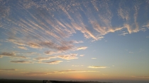 Sunrise at Paynes Prairie Gainesville FL OC