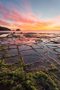 Sunrise from the Tessellated Pavement Eagle Hawk Neck Tasmania Australia by Michael Blyde 