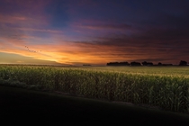 Sunrise in Iowa Corrected with png download available 
