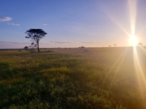 Sunrise in the Serengeti Tanzania  OC