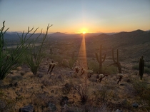Sunrise near Cave Creek AZ with Ocotillo Cholla and Saguaro Cactus 