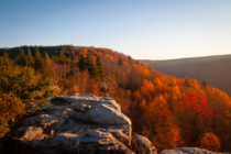 Sunrise on Lions Head Dolly Sods Wilderness West Virginia 