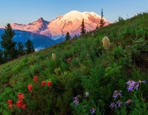 Sunrise on Mt Rainier Washington  by John Richter x-post rUnitedStatesofAmerica