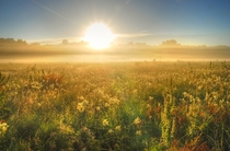 Sunrise over a summer meadow Lithuania 